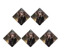Labrador Retriever Car Air Freshener Hanging Incense Chips 5 Pack Automotive Scented Hanging Sheets for Car Home Auto Interior Decor Rhombus,Black-Style