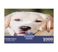 Labrador Retriever Challenging Puzzles 1000 Pc - Smiling Lab Tongue Out for Men And Women Recycled Paper Educational Game Challenge38x26cm/1000pcs