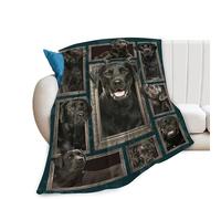 Labrador Retriever Dog Blanket Gifts and Decor - Cute Throw for Girls, Women, Kids, Adults - Soft Warm Cozy Fleece for Couch, Sofa, Bed 50"x40"