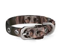 Labrador Retriever Dog Collar, Soft Comfortable Pet Collar for Small & Medium Dogs, Adjustable Durable Cat Collars for Puppies