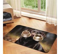 Labrador Retriever Dog Food Mat, Absorbent Pet Feeding Mat for Food and Water Bowls Non-Slip Placement Pad for Floors Waterproof Quick Dry Water Dispenser Mat for Dogs Puppy Cats 16x24 Inch