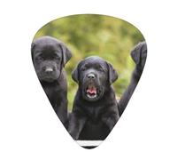 Labrador Retriever Dog High-Quality, Wear-Resistant And Tough Guitar Picks Give You A Different Musical Experience