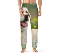 Labrador Retriever Dog Lazy Time Men's Pajama Pant Soft Printed Straight-Fit Jogger Sleep Pants Casual Lounge Sleepwear PJs