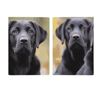 Labrador Retriever Dog Passport Holder, ID Card Protector Case Passport Holder with Slot Passports Travel Wallet Document Cover for Women And Men