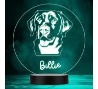 Labrador Retriever Dog Pet Multicolour Personalised Gift LED Lamp Night Light | Personalised Gift For Home, Lamp Room Décor | Kids & Adults Night Lights With Name | Personalised Gift For Bedroom |