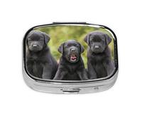 Labrador Retriever Dog Print,Meta Pill Box 2 Compartment Medicine Case,Portable Organizer,Rectangle Meta Portable Organizer Pill Box 264 Compartment Medicine Case