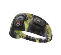 Labrador Retriever Dog Print,Sports Sweatband for Unisex Multi Headband Elastic Exercise Hairband