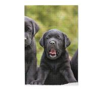 Labrador Retriever Dog Printed Wooden Puzzle 1000 Piece, Cute Puzzle Game in Plastic Box for Family Entertainment and Brain Training Gifts