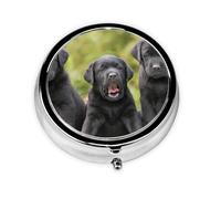 Labrador Retriever Dog PrintMeta Pill Box 3 Compartment Medicine Case,Portable Organizer