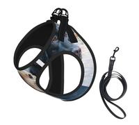 Labrador Retriever Dog Puppy Art,Pet Harness,Adjustable Reflective Dog Harness,Pet Leash Vest,M