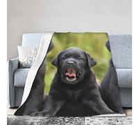 Labrador Retriever Dog Soft Micro Flannel Blanket Throw, Warm Cozy Lightweight Decorative Blanket for Sofa Couch Bed, Printed Blanket Gifts for Kids Girls Boys Women Men