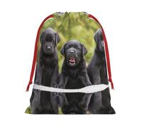 Labrador Retriever Dog Ultra Soft Velvet Gift Bag, Comfortable To The Touch, Reusable
