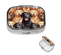 Labrador Retriever Dogs Pill Box 2 Compartment Medicine Pill Organizer Square Pill Case for Purse & Pocket Travel Pillbox Portable Metal Medicine Vitamin Fish Oil Organizer Unique Gift