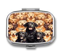 Labrador Retriever Dogs Pill Organizer with 2 Compartments Metal Square Pill Case Small Pill Box Portable Medicine Box Slim Travel Pill Container Medicine Organizer for Daily Use