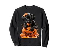 Labrador Retriever Dripping Pumpkin Candy Corn Halloween Dog Sweatshirt
