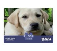 Labrador Retriever Educational Game Decompression 1000 Pieces Jigsaw Puzzle - Puppy Lab Lying on Deck for Adults Kids Home Activity52x38cm/1000pcs