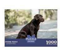 Labrador Retriever Jigsaw Puzzle 1000 Pieces Recycled Paper Puzzle Black Lab Sitting on Stone Pavement for Adults Impossible Hard Game Great Gift Idea Home Activity 38x26cm/1000pcs