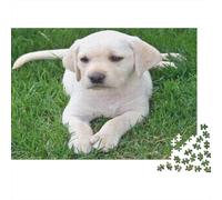 Labrador Retriever Jigsaw Puzzles 1000Pc A Pale Yellow Lab Puppy Rests on Green Grass for Adults Impossible Difficult Challenging 52x38cm/1000pcs