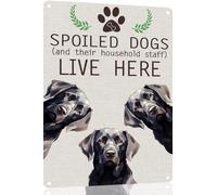 Labrador Retriever Metal Sign Spoiled Dog Lives Here Vintage Metal Tin Signs Novelty Dog Sign Coffee Bar Pub Farmhouse Country Home Decor for Dog Lover 8x12 Inch