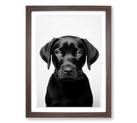 Labrador Retriever Minimalism Framed Wall Art Print, Ready to Hang Picture for Living Room Bedroom Home Office, Walnut A2 (48 x 66 cm)