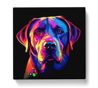 Labrador Retriever Neon Art Canvas Print | Gallery Wrapped 30mm Frame Wall Art | 20x20 inches | Ready to Hang | Modern Animal Picture | Living Room Bedroom Lounge Office
