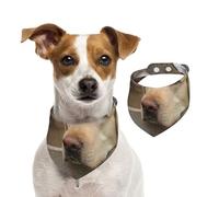 Labrador Retriever Photos,Pet Bib Scarf Cats Dog Bandana Dogs Towel Bib Adjustable Pet Scarf,S