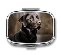 Labrador Retriever Pill Box 2 Compartments Portable Travel Pill Case Mini Medicine Organizer for Pocket Purse Metal Waterproof Medicine Container Holder Vitamin Fish Oil