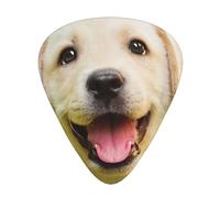 Labrador Retriever Puppy Dog,12 Pcs Guitar Pick,3 Different Thickness Plectrums for Acoustic Guitar Bass Ukulele (0.46mm 0.96mm 0.71mm)