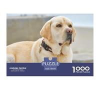 Labrador Retriever Recycled Paper Jigsaw Puzzle: A Yellow Lab with A Collar Looks Aside for Adults 14-99 Years Educational Game Challenge 70x50cm/1000pcs