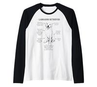 Labrador Retriever Scientific Illustration Funny Traits Raglan Baseball Tee