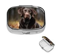 Labrador Retriever Square Metal Pill Box 2 Compartment Cute Travel Pill Organizer Case Portable Medicine Vitamin Organizer Pill Case for Women Men Travel Unique Gift