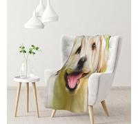 Labrador Retriever Throw Blanket 70 x 100 cm Dog Flannel Fluffy Fleece Blanket Soft Lightweight Warm Blankets and Throws for Bed Sofa and Couch a-6651