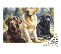 Labrador Retriever Trio 1000 Piece Jigsaw Puzzles Three Labrador Retrievers Together for Adults Educational Game Beautiful Decoration Difficult Challenging Male And Female Birthday 52x38cm Gif