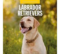 Labrador Retrievers - 2025 Square Wall Calendar - by Red Robin Publishing