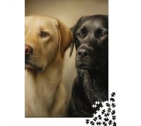 Labrador Retrievers︰ Black and Yellow Portrai Jigsaw Puzzle, 1000 Piece