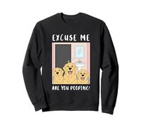Labrador Retrievers Curious Funny Are You Pooping Sweatshirt