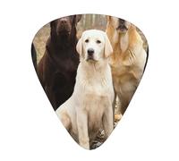 Labrador Retrievers Dogs Black Golden White Brown,12 Pcs Guitar Pick,3 Different Thickness Plectrums for Acoustic Guitar Bass Ukulele (0.46mm 0.96mm 0.71mm)