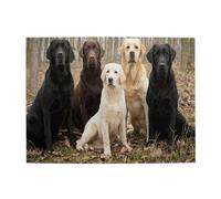 Labrador Retrievers Dogs Black Golden White Brown,500 Pieces Puzzles for Adults-Wooden Jigsaw Puzzle for Adults Elderly