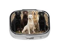 Labrador Retrievers Dogs Black Golden White Brown,Meta Pill Box 2 Compartment Medicine Case,Portable Organizer