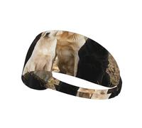 Labrador Retrievers Dogs Black Golden White Brown,Sports Sweatband for Unisex Multi Headband Elastic Exercise Hairband