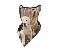 Labrador Retrievers Dogs Black Golden White Brown Windproof Mask,Neck Gaiter Winter Motorcycle Face Cover
