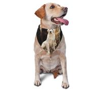 Labrador Retrievers Dogs Black Golden White BrownDog Bandanas Cat Puppy Scarfs Washable Pet Handkerchief