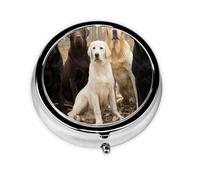 Labrador Retrievers Dogs Black Golden White BrownMeta Pill Box 3 Compartment Medicine Case,Portable Organizer