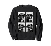 Labrador Retrievers in Hearts Sunglasses Valentines Day Dogs Sweatshirt
