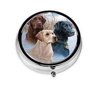 Labrador Retrievers, Pill Box, Square Pill Case for Pocket Or Purse Small Pill Container Travel Pill Organizer