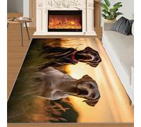 Labrador Retrievers Rug 60x120 Area Rugs, Sunset Landscape Rugs for Bedroom, Animal Dogs Kitchen Rugs Non Slip Washable, Countryside Nature Soft Short Pile Carpet for Laundry Room