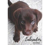 Labrador Sketchbook: 200 pages, 8.5 x 11 in - Sketchbook, Blank Paper for Drawing, Doodling or Sketching - Great Accessories & Gift Idea for Labrador ... List, Dog Mom Gifts or Present for Dog Love