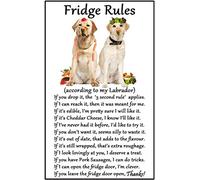 Labrador Yellow/Lab Gift - Fridge Rules - Large flexible Fun Fridge Magnet- size 16cms x 10 cms (approx. 6" x4")