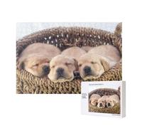 Labradors Little Puppies Golden Retriever,300 Pieces Wooden Jigsaw Family Game Jigsaw Puzzles for Adults Teens Home Decor