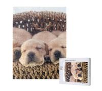 Labradors Little Puppies Golden Retriever,500 Pieces Wooden Jigsaw Family Game Jigsaw Puzzles for Adults Teens